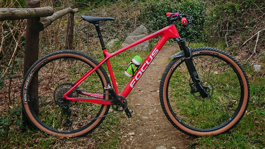 Dream Build: Focus Raven 8.8 by Alessandro Cardona