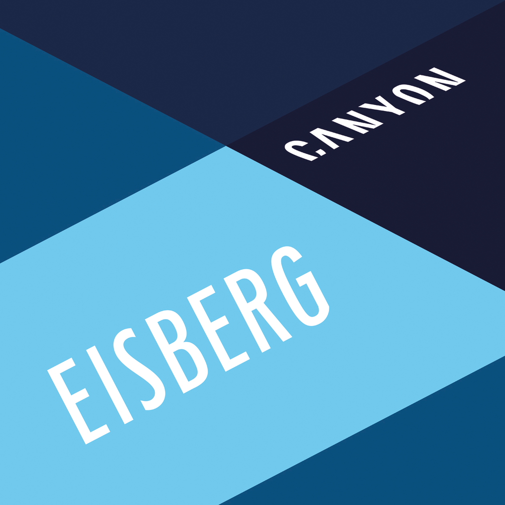 CANYON EISBERG CHAMPION TUBELESS FOR 2018