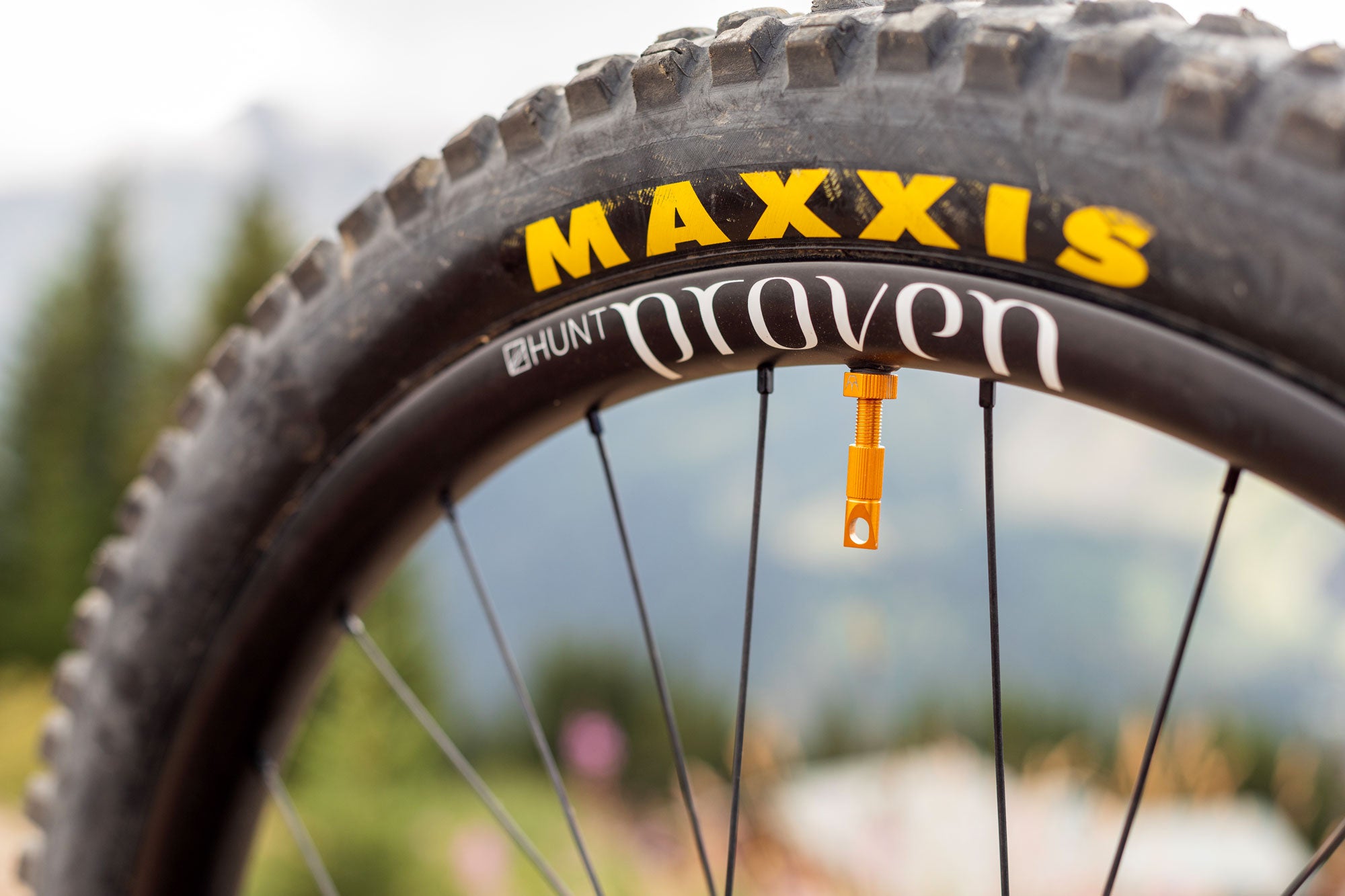 <h1>Spokes</h1><i>We have chosen top of the line, triple butted Pillar Spokes with increased reinforcement at the spoke head. Not only are these spokes extremely lightweight, they are also able to provide a greater degree of elasticity when put under increased stress. Whatsmore the spokes feature a different gauge front and rear to further enhanced the tuned nature of Race Enduro.</i>